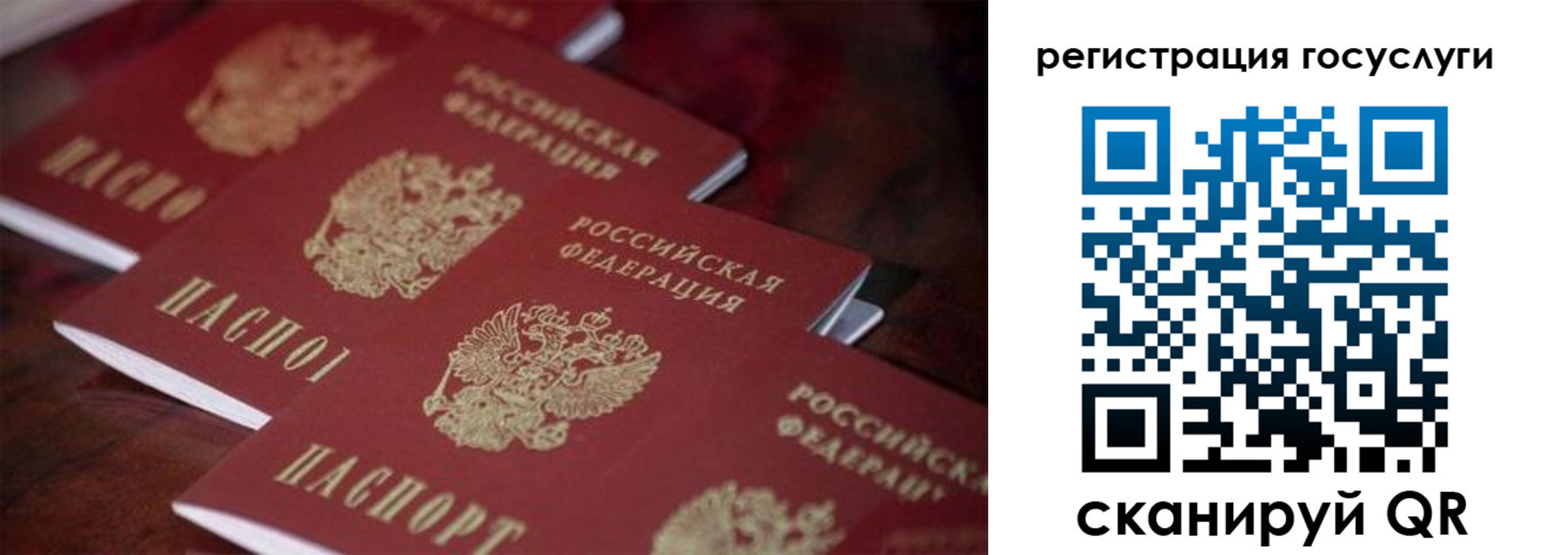 прописка в квартире в Алексине